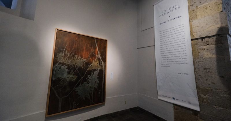 Exposiciones en Guadalajara  durante noviembre: Palma y pólvora, Lorena Camarena